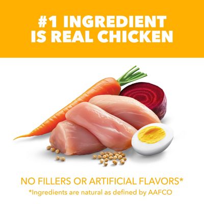 Image showing  ProActive Health Puppy Large Breed Dry Dog Food