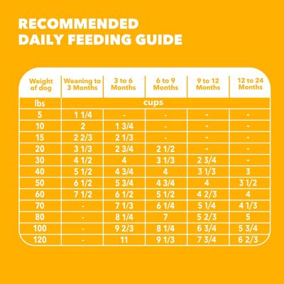 Image showing 8 th Iams ProActive Health Puppy Large Breed Dry Dog Food