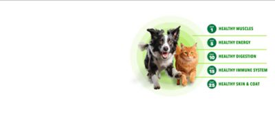 Image showing  Proactive Health Adult Optimal Weight Chicken Recipe Dry Dog Food, 29.1 lb. Bag