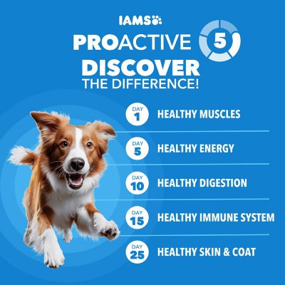 Image showing 6 th Iams ProActive Health Adult Optimal Weight Chicken Recipe Dry Dog Food, 29.1 lb. Bag