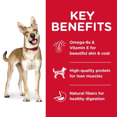 Image showing  Adult Lamb Meal & Brown Rice Recipe Dry Dog Food