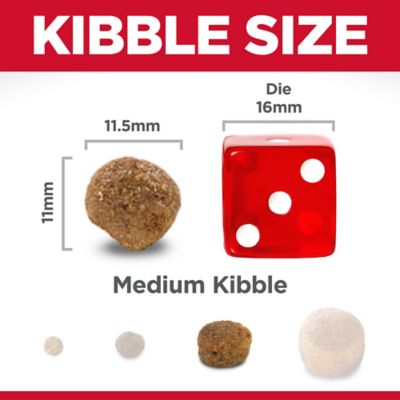 Image showing  Adult Lamb Meal & Brown Rice Recipe Dry Dog Food