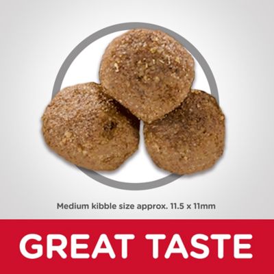 Image showing  Adult Lamb Meal & Brown Rice Recipe Dry Dog Food