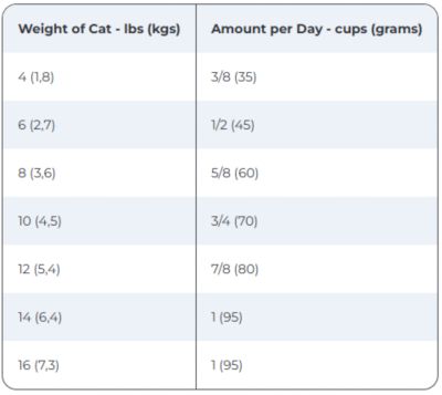 Image showing  Adult Indoor Chicken Recipe Dry Cat Food