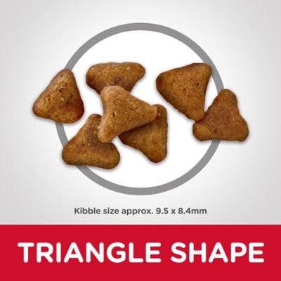 Image showing  Adult Indoor Chicken Recipe Dry Cat Food