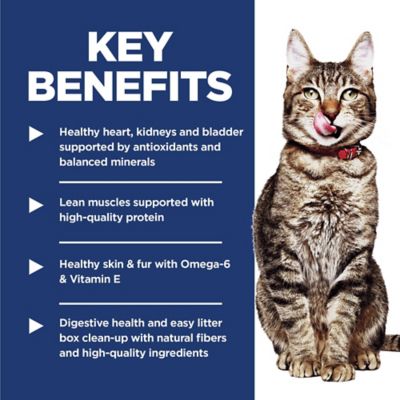 Image showing  Senior 7+ Indoor Chicken Recipe Dry Cat Food