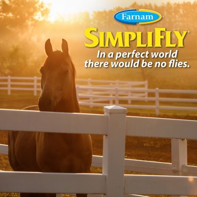 Image showing  SimpliFly Feed-Thru Fly Control for Horses, 4.15 lb.