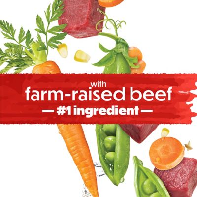 Image showing  Originals Adult Farm-Raised Beef Formula Dry Dog Food, Made with Real Meat