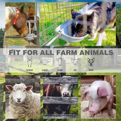 Image showing  Powder-Coat Steel Automatic Pet Waterer