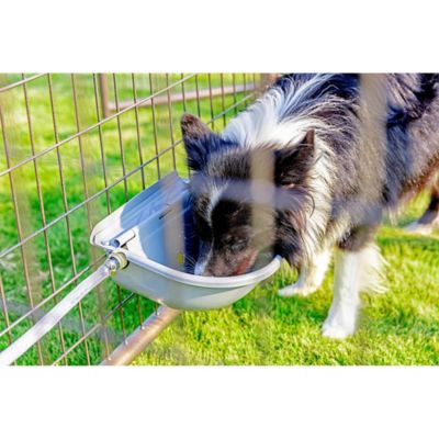 Image showing  Powder-Coat Steel Automatic Pet Waterer