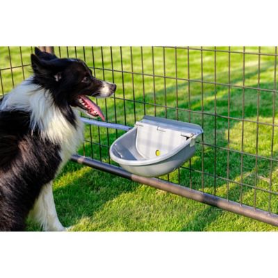 Image showing 6 th Pet Gazebo Powder-Coat Steel Automatic Pet Waterer