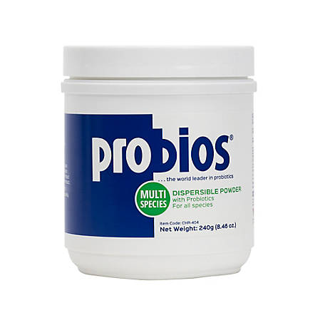 Probios Dispersible Horse and Livestock Probiotic Powder, 240g