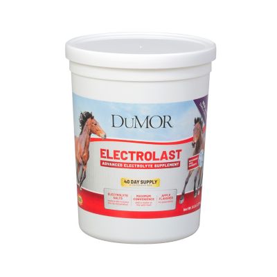 DuMOR Electrolast Electrolyte Supplement for Horses, 5 lb.
