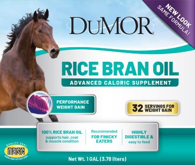 Image showing  Rice Bran Oil High-Calorie Horse Supplement, 1 gal.