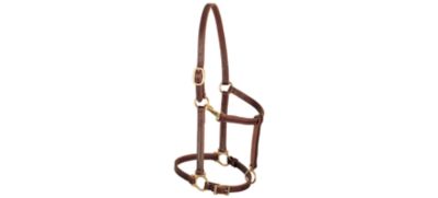 Weaver Leather Track Horse Halter, 3/4 in. at Tractor Supply Co.