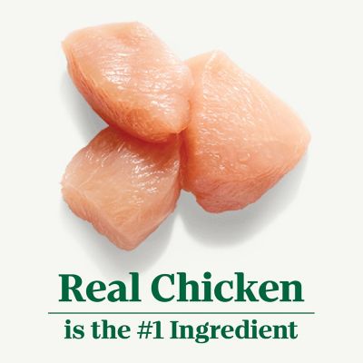 Image showing  Slow Cooked Chicken, Potato, Carrot & Pea 12.5 oz.