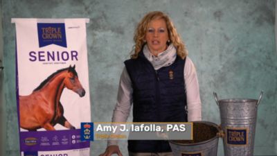 Image showing  Senior Textured Horse Feed, 50 lb. Bag