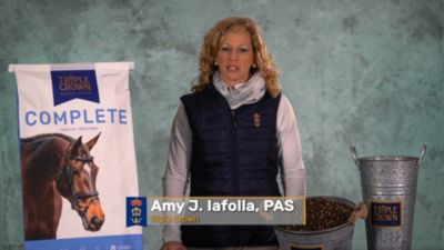 Image showing  Complete Textured Horse Feed, 50 lb. Bag