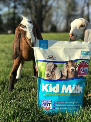 Image showing  Goat Kid Milk Replacer