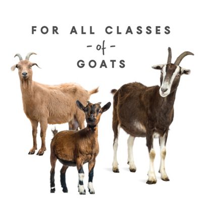 Image showing  Goat Mineral Supplement, 8 lb.