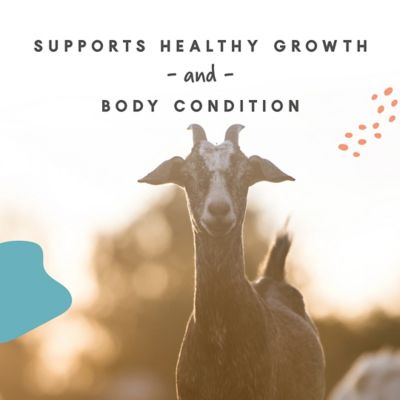 Image showing  Goat Mineral Supplement, 8 lb.