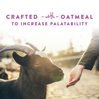 Image showing  Licorice Goat Treats, 6 lb.