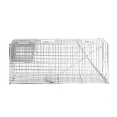 Image showing  1-Door Catch-and-Release Live Animal Trap, 58 in. x 17 in. x 26 in.