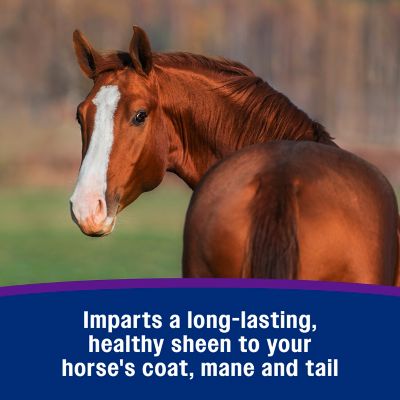 Image showing  Vetrolin Shine Premium Equine Sheen and Conditioner, 32 oz.