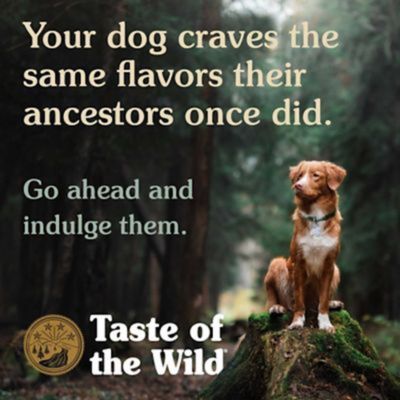 Image showing 5 th Taste of the Wild Wetlands Adult Grain-Free Roasted Fowl Dry Dog Food