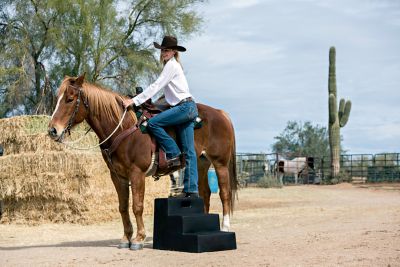 Mounting Steps Block 24" High QUALITY EXTRA LARGE TOP STEP Heavy Duty Horse 