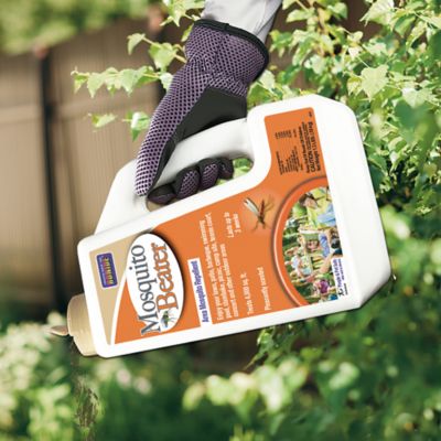 Image showing Mosquito Beater Granular Repellent