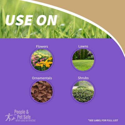 Image showing Mosquito Beater Granular Repellent