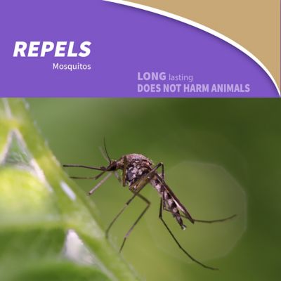 Image showing Mosquito Beater Granular Repellent