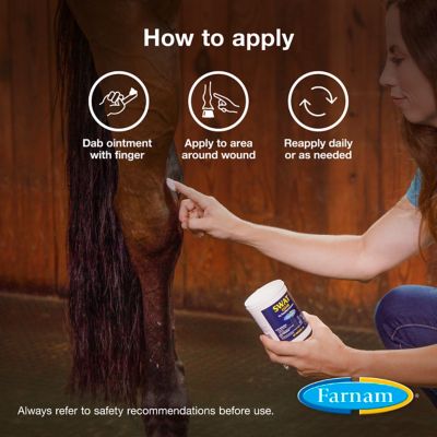 Image showing  Swat Clear Fly Repellent Ointment, 7 oz.