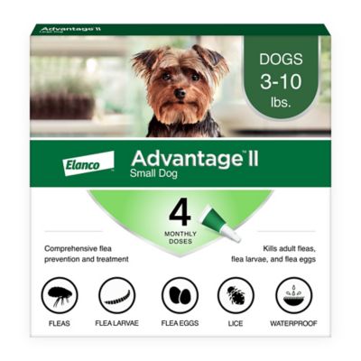 Elanco Advantage II Small Dog Vet-Recommended Flea Treatment and Prevention for Dogs 3-10 lb., 4-Month Supply