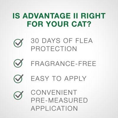 Image showing  II Large Cat Vet-Recommended Flea Treatment and Prevention for Cats Over 9 lb., 4-Month Supply, 4 ct.