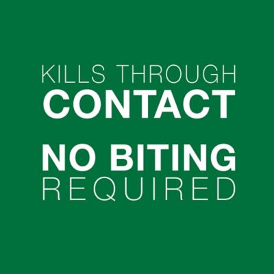 Image showing 6 th Advantage II Large Cat Vet-Recommended Flea Treatment and Prevention for Cats Over 9 lb., 4-Month Supply, 4 ct.