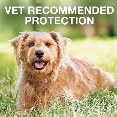 Image showing  K9 Advantix II Topical Flea and Tick Treatment for Dogs