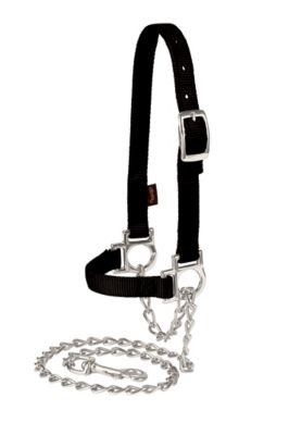 Weaver Leather 36-1/2 in. Adjustable Sheep Halter with Chain Lead, Nylon, Black