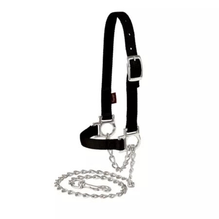 Weaver Leather 36 1/2 in Adjustable Sheepskin Halter with Chain Leash Nylon Black Livestock Ropes Halters & Hobbles