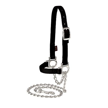 Weaver Leather 36-1/2 in. Adjustable Sheep Halter with Chain Lead, Nylon, Black
