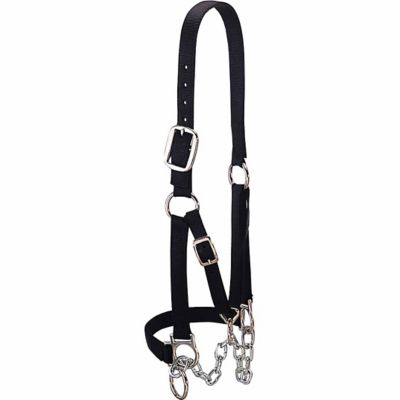 Weaver Leather Nylon Heavy-Duty Restraint Cattle Halter