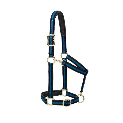 Weaver Leather Padded Adjustable Horse Halter, Average, Blue, 1 in