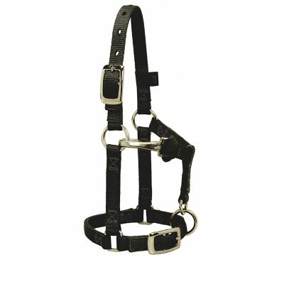 Weaver Equine Nylon Adjustable Miniature Horse Halter, Black, Average