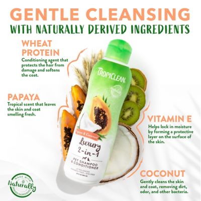 Image showing  Papaya & Coconut Luxury 2-in-1 Shampoo and Conditioner, 20oz