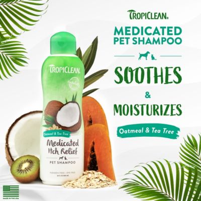Image showing  Oatmeal & Tea Tree Medicated Itch Relief Shampoo for Pets, 20oz