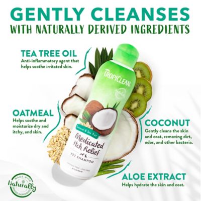 Image showing  Oatmeal & Tea Tree Medicated Itch Relief Shampoo for Pets, 20oz