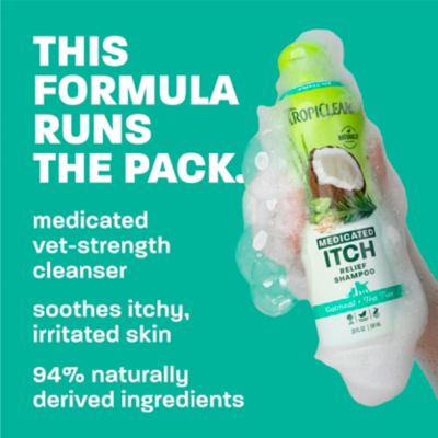 Image showing  Oatmeal & Tea Tree Medicated Itch Relief Shampoo for Pets, 20oz