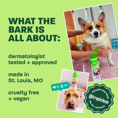 Image showing 7 th TropiClean Oatmeal & Tea Tree Medicated Itch Relief Shampoo for Pets, 20oz