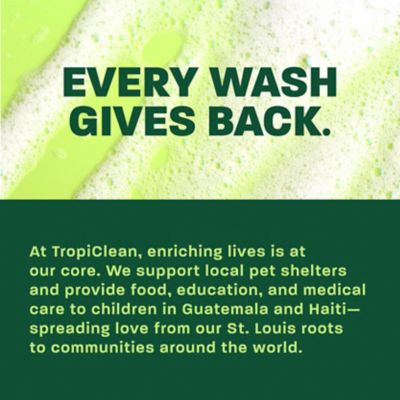 Image showing 8 th TropiClean Oatmeal & Tea Tree Medicated Itch Relief Shampoo for Pets, 20oz